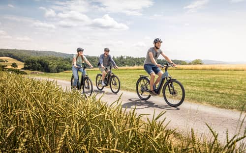 Colleagues cycle together in the countryside