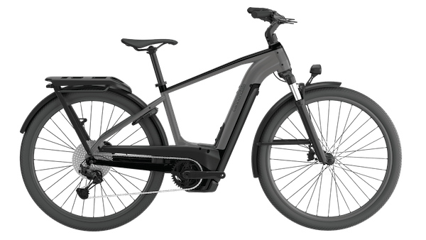 Cannondale Tesoro Neo X 1