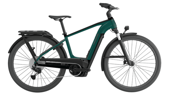 Cannondale Tesoro Neo X 1