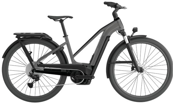 Cannondale Tesoro Neo X 1 STH