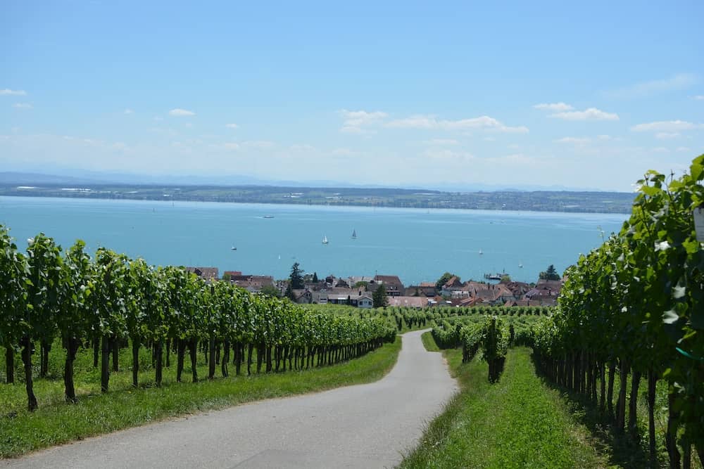 Radweg mit Blick auf den Bodensee