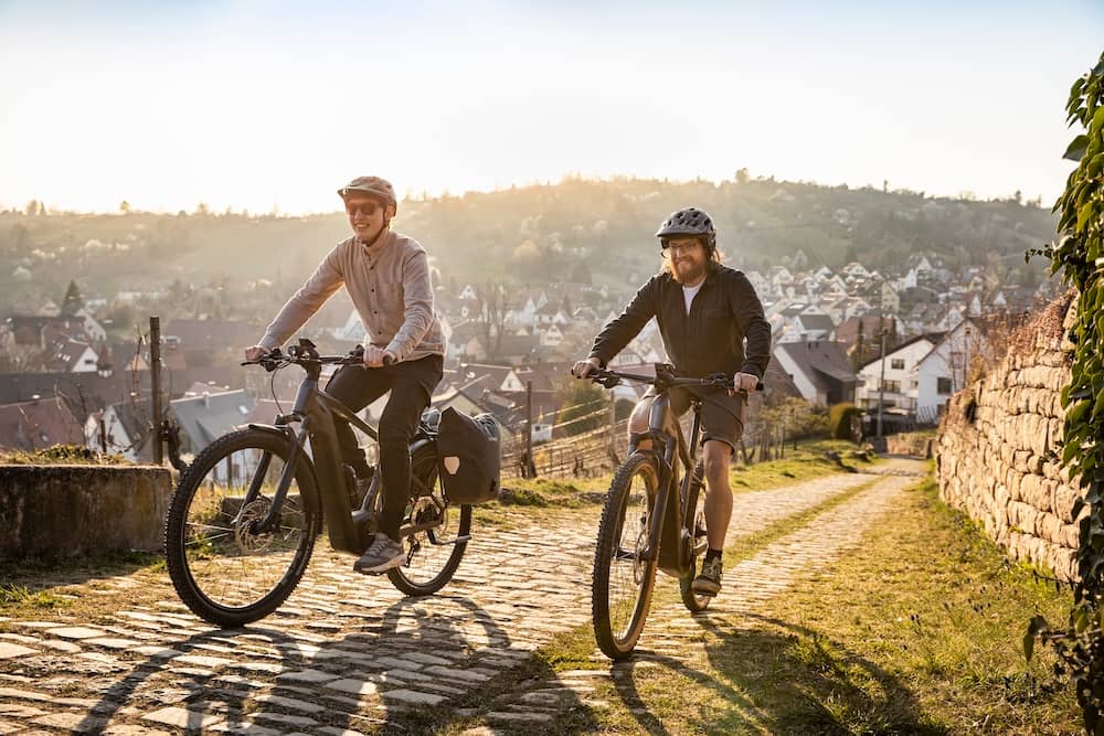 Two men with e-bikes on the hill