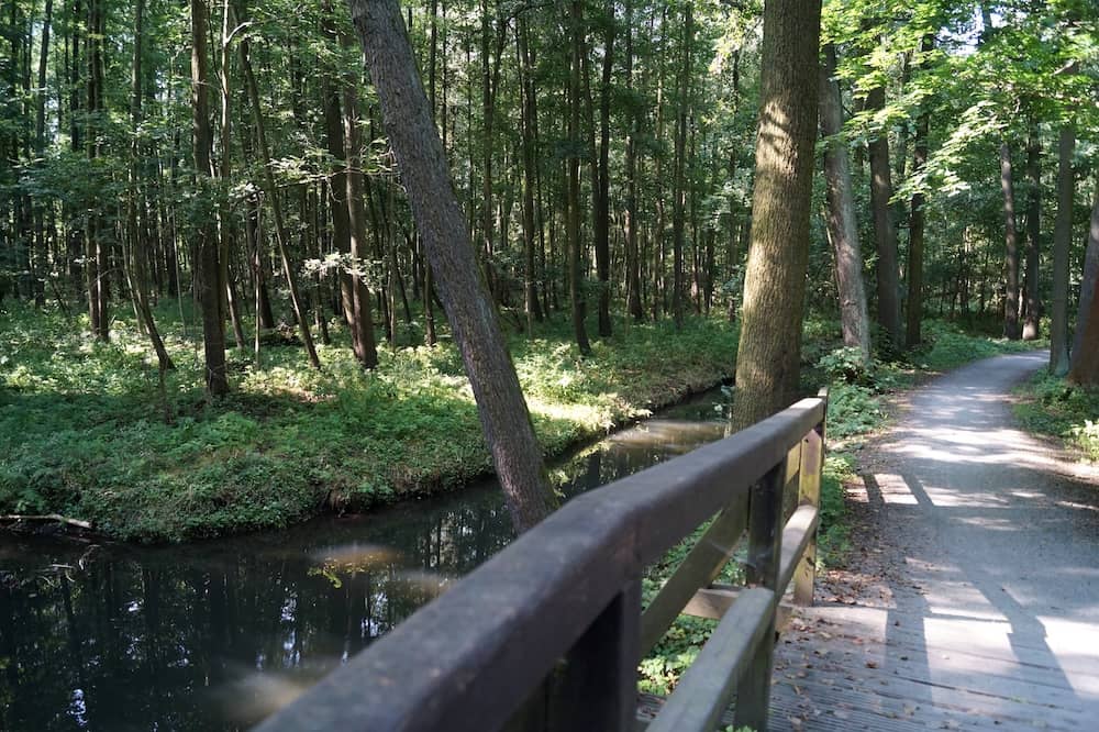 Radweg im Spreewald bei Lübbenau