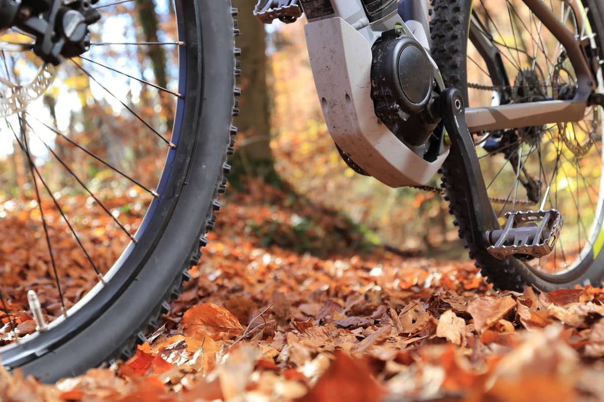 e-mountainbike in autumn leaves