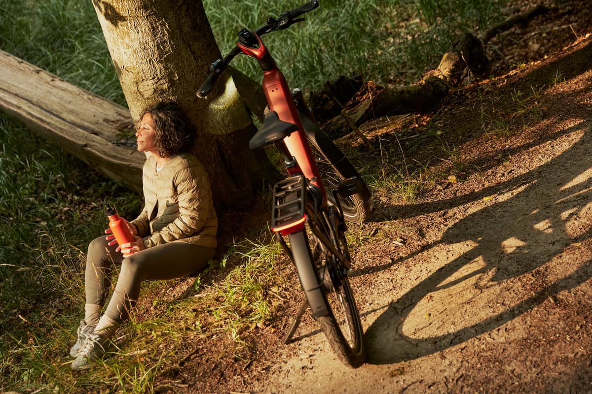 Gazelle bike standing next to tree and person sitting in front of tree