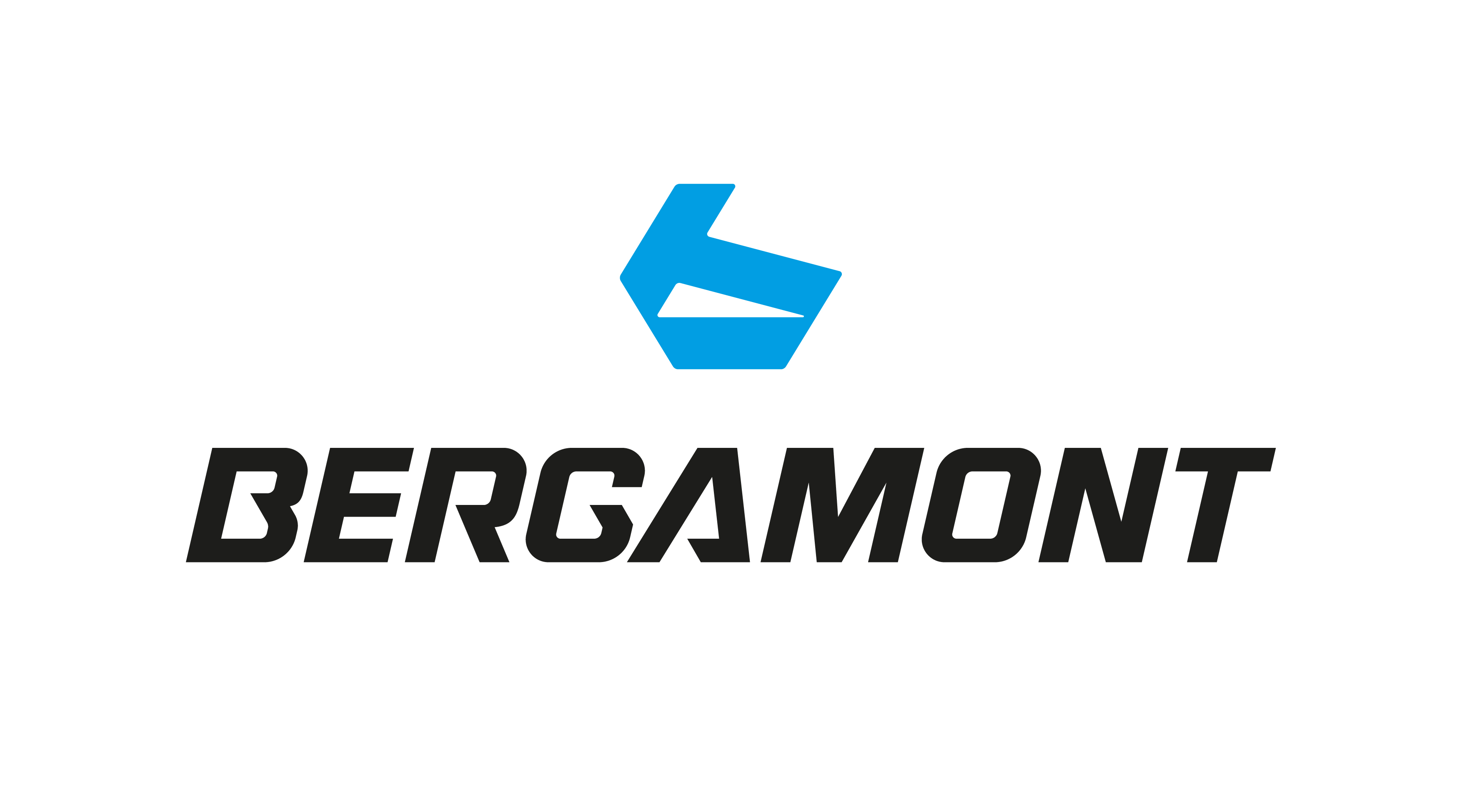 Bergamont Logo